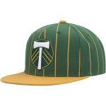 men8217s portland timbers mitchell amp ness green team pin snapback hat | San Jose Earthquakes Hats, Jerseys & MLS Apparel