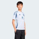 youth chicago fire adidas light blue 2025 the municipal kit replica jersey | San Jose Earthquakes Hats, Jerseys & MLS Apparel
