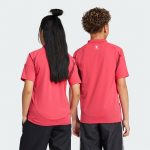 youth st. louis city sc adidas red 2025 forever city red replica jersey | San Jose Earthquakes Hats, Jerseys & MLS Apparel